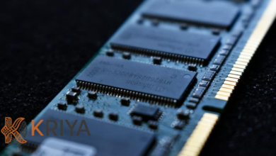 batch 1774212739 article 16 watermarked