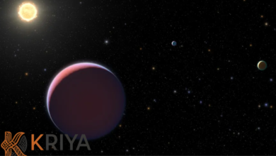 batch 1774212739 article 1 watermarked