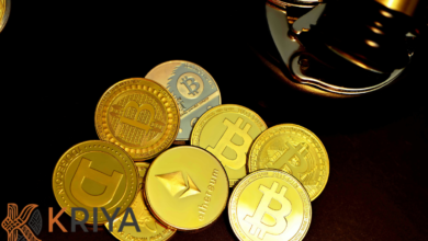 batch 1774212739 article 5 watermarked