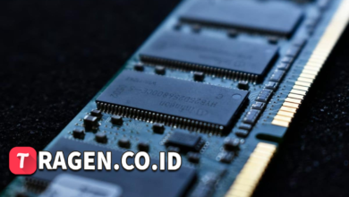 batch 1774382428 article 15 watermarked